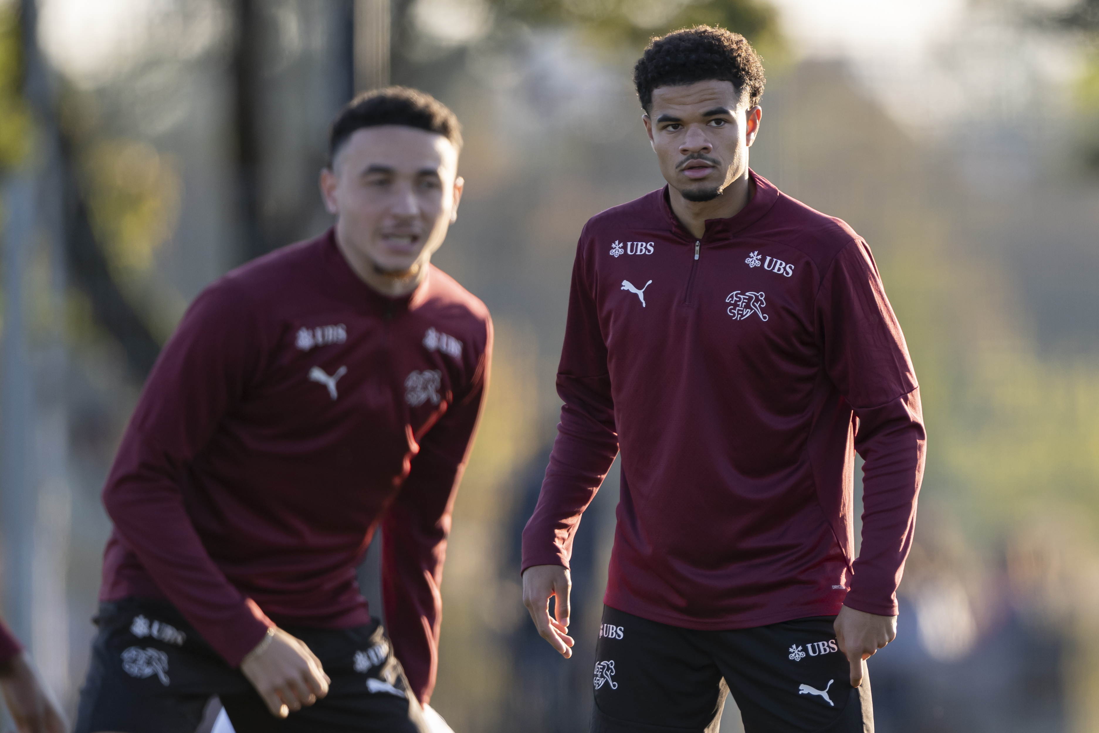 熊猫体育平台-瑞士队在欧预赛中取得胜利，全面优势的简单介绍